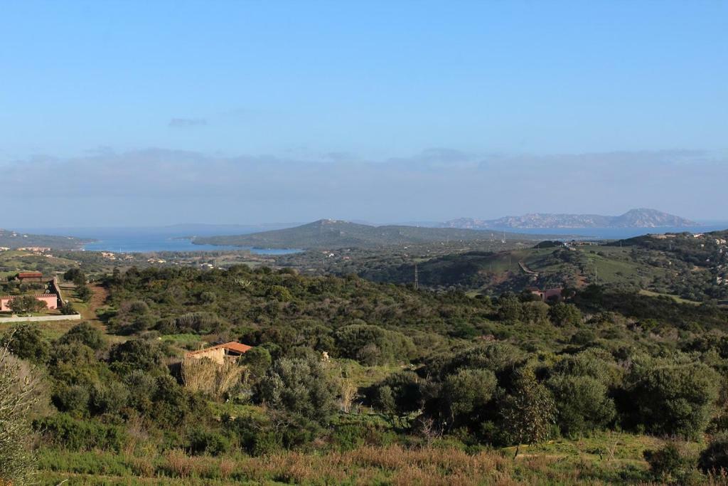 Appartamento L'Albero Magico Nella Campagna Gallurese Santa Teresa Gallura Bagian luar foto