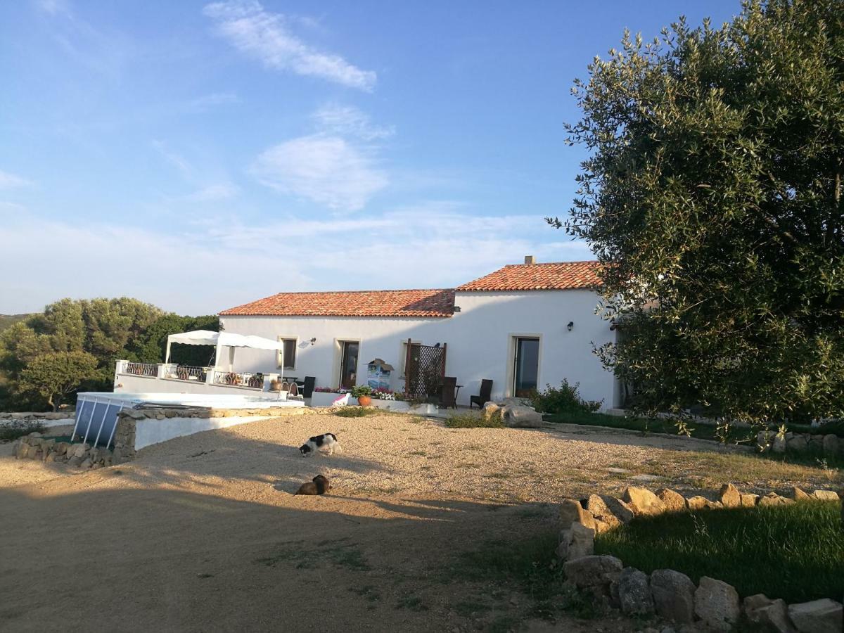 Appartamento L'Albero Magico Nella Campagna Gallurese Santa Teresa Gallura Bagian luar foto