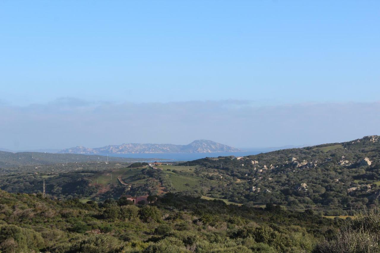 Appartamento L'Albero Magico Nella Campagna Gallurese Santa Teresa Gallura Bagian luar foto
